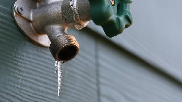 Best Sewer Line Repair  in Lincoln, MO